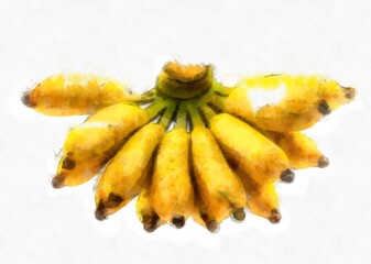 Banana on a white background watercolor style illustration impressionist painting.