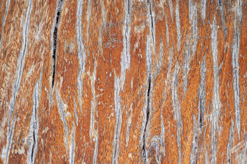 Plank wood table floor with natural pattern texture background.
