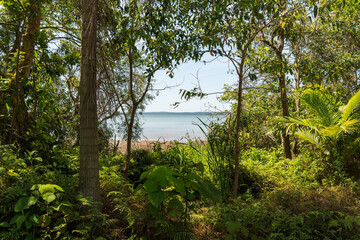 View through tropical forest to the sea, with islands on the horizon. Redland Bay, Queensland, Australia 
