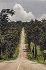 The road on the way to Chulabhorn Dam is filled with beautiful forests and pine trees during the rainy season.