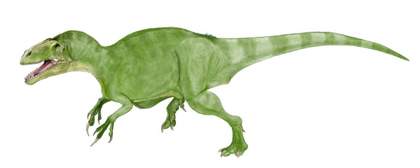シアッツ・ミーケロルム 　現在ではメガラプトル類に属する白亜紀後期に絶滅したとされる獣脚類。この恐竜の骨格データは少ない。発見された骨格では脊椎の融合が完全ではなく、幼体と推定されるにもかかわらず、相当の大きさであった。ティラノサウスが登場する以前、サウロファガナクスのように食物連鎖と頂点にあったと推定される、成体の推定体長11メートル。