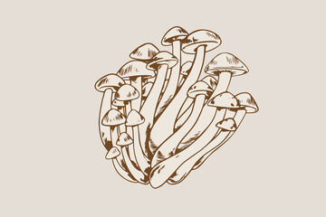 mushrooms illustration with hand-drawn style for your design element
