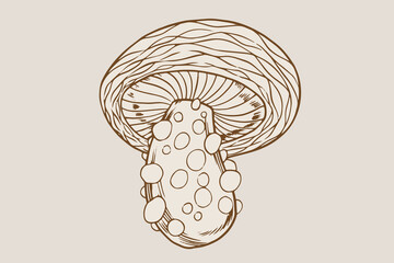 mushrooms illustration with hand-drawn style for your design element