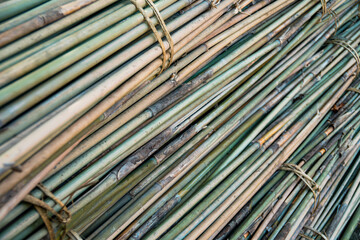 A very large pile of small bamboo, which will later be made into various crafts such as children's toys, straws, flutes, and others, the production process is done manually by local craftsmen