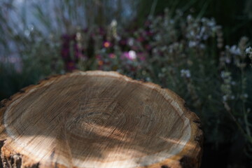 Sawn decorative stump for sitting around the fire.
