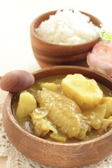 Chinese food, chicken and potato curry served with rice