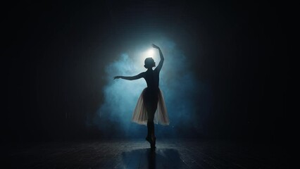 Silhouette of ballerina in backlight of spotlights. Graceful ballet dancer spins on toes in pointe shoes - Powered by Adobe