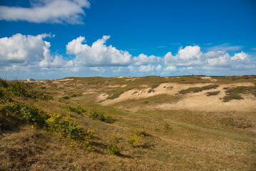 Dünenlandschaft bei Bergen aan Zee in Nordholland