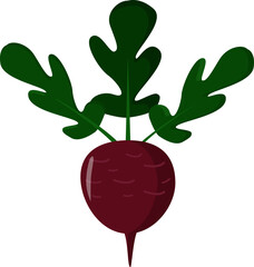 Beets flat vector icon for food applications and websites.