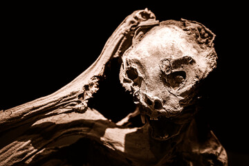 Scary close-up view of a mummified cat isolated on black background, scratching head