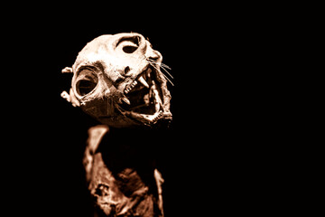 Scary close-up view of a mummified cat isolated on black background, looking at camera