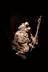 Scary close-up view of a mummified bat isolated on black background