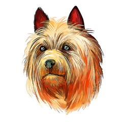 Australian Terrier Dog Breed Watercolor Sketch Hand Drawn Painting Silhouette Sticker Illustration Sublimation EPS Vector Graphic