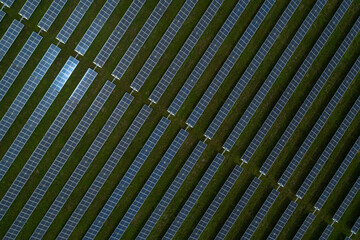 Aerial view of large solar farm with hundreds of rows of energy efficient panels, sustainable...
