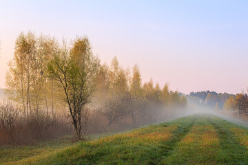 Poranna wiosenna mgła