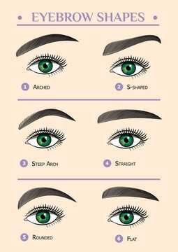 Women's eyebrows of different shapes. Female eyes with different shapes of eyebrows Vector eyebrows realistic and cartoon style. Collection of isolated female sketchy eyebrows.