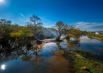 Fototapeta na wymiar Amazing scenery in Ru Cha mangroves in Hue city, Vietnam.