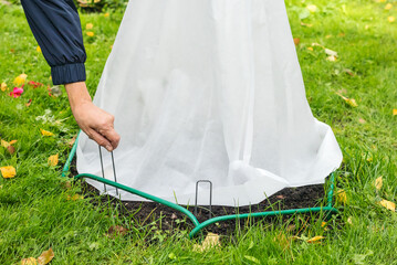 Reliable and comfortable shelter of a rose with breathable textiles from northern frosts.
