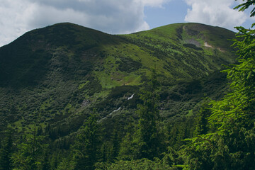 Fototapeta na wymiar Mountain landscape with clouds, wildlife