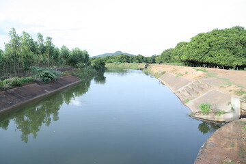 the river in the park