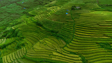 Beautiful mountain landscape, shot from the drone of green rice terraces, Sapa, Vietnam.