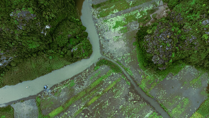 Beautiful mountain landscape, shot from the drone of green rice terraces, Sapa, Vietnam.