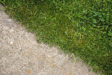 Close up border of concrete surface and green lawn.