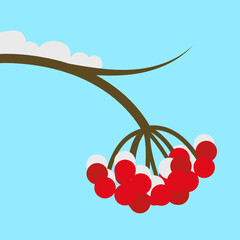 Rowan berries on a snowy branch