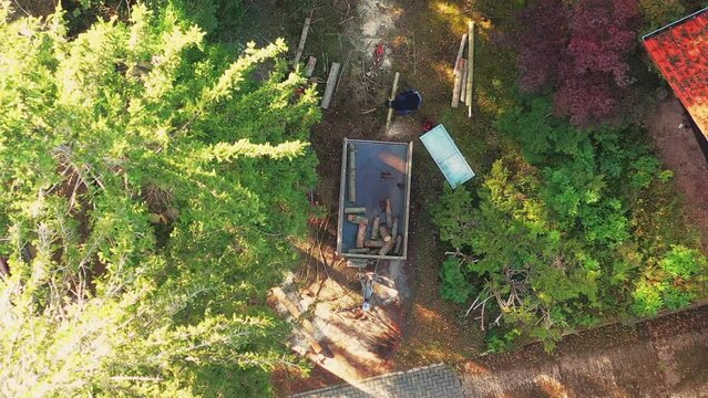 Vertical aerial view of men cutting logs of spruce and stacking the firewood in a trailer