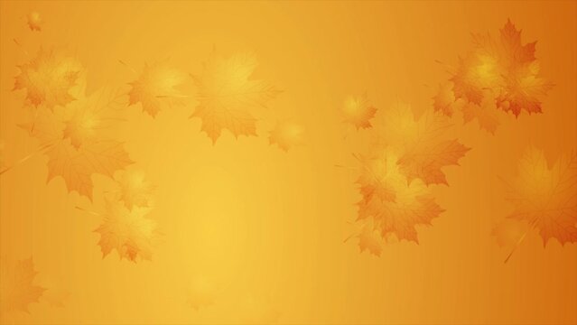 Golden orange minimal autumn background with maple leaves. Seamless looping motion design. Video animation Ultra HD 4K 3840x2160