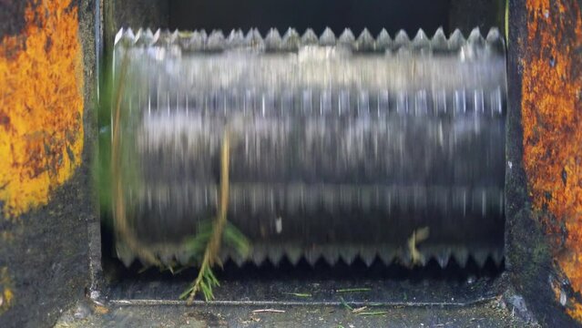 Close up of rotating roller of chipper with pointed iron teeth for shredding wood and wood waste