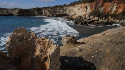 petrified trees in geopark of agios nikolaos, peleponnes, Greece