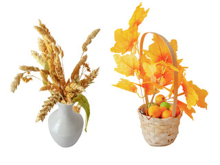 A set of two isolates on a transparent background. Autumn bouquets: one of dry grass in a porcelain vase, the other of yellow leaves in a wicker basket.