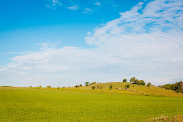Grren hill agsint blue sky swedish countryside