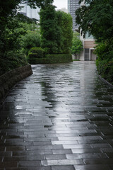 雨に濡れた路面