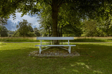 White wooden bench in a city park standing in the shade among greenery and trees on a sunny day, Phoenix Park, Dublin, Ireland