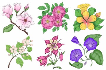 Digital drawn floral set out illustrations. Magnolia, rose hip, hibiscus, apple blossom, aquilegia, ipomoea.