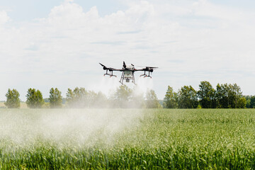 Modern technologies in agriculture. industrial drone flies over a green field and sprays useful...