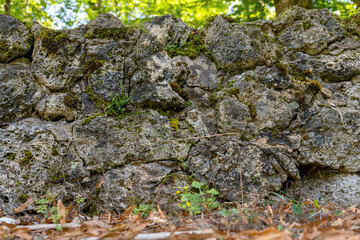 Wall made of natural stones overgrown with moss and ferns as a background