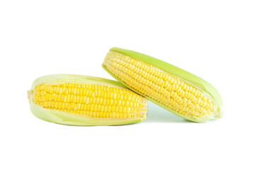 Corn on a white background.