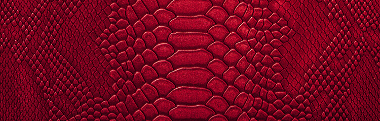 Fototapeta premium Beautiful red, pink bright snake or crocodile skin, reptile skin texture, multicolored close-up as a background.