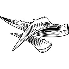 Fototapeta premium Hand drawn Aloe Vera Leaves Sketch Illustration