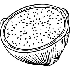 Hand drawn Dragon Fruit