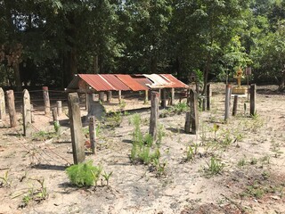 タイ国境とポルポト（サロットサル）の墓