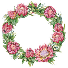 Protea flower wreath, hand drawn watercolor illustration isolated on white background. Floral, tropical, exotic, wedding design