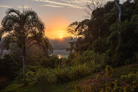 Sunrise in the rainforest, Tambopata National Reserve, Puerto Maldonado, Peru