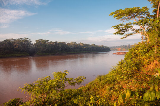 View of the Tambopata river with morning haze, Tambopata Natural Reserve, Puerto Maldonado, Peru