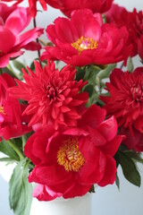 レッドチャーム