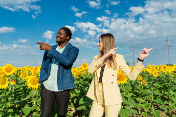Smiling businessman and businesswoman pointing while discussing in sunflower field