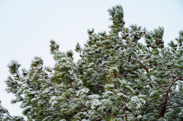 Mountains in the snow, winter landscape